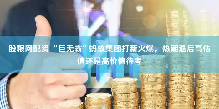 股粮网配资 “巨无霸”蚂蚁集团打新火爆，热潮退后高估值还是高价值待考
