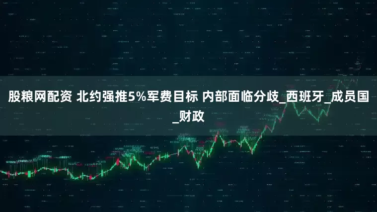 股粮网配资 北约强推5%军费目标 内部面临分歧_西班牙_成员国_财政