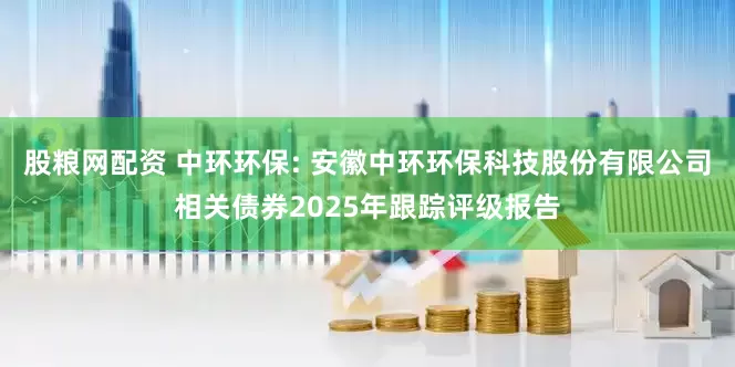 股粮网配资 中环环保: 安徽中环环保科技股份有限公司相关债券2025年跟踪评级报告