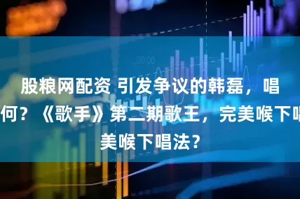 股粮网配资 引发争议的韩磊，唱功如何？《歌手》第二期歌王，完美喉下唱法？